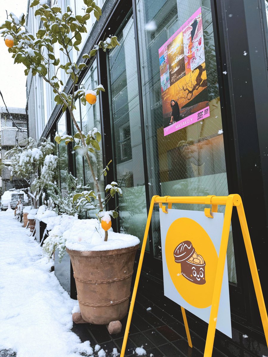 shimizuman15's tweet photo. 西荻窪TIN COOKIES オープンしました！
まさかの大雪の日にオープンなんて、思い出深い一日になりそうです。クッキー缶を通じて、街を訪れる人たちとお菓子屋さんやアーティストをつなげる仕事ができるよう努めたいと思います。
18:00までゆっくり営業しているので、お時間あればよろしくどうぞ。 https://t.co/6lBdm0jE4K