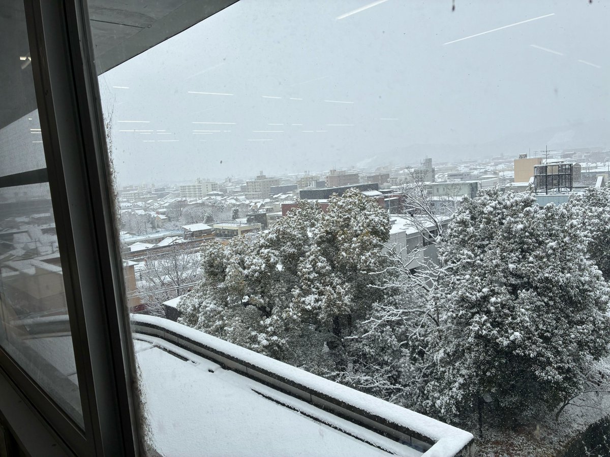 京都芸術大学美術工芸学科アートプロデュースコース tweet media