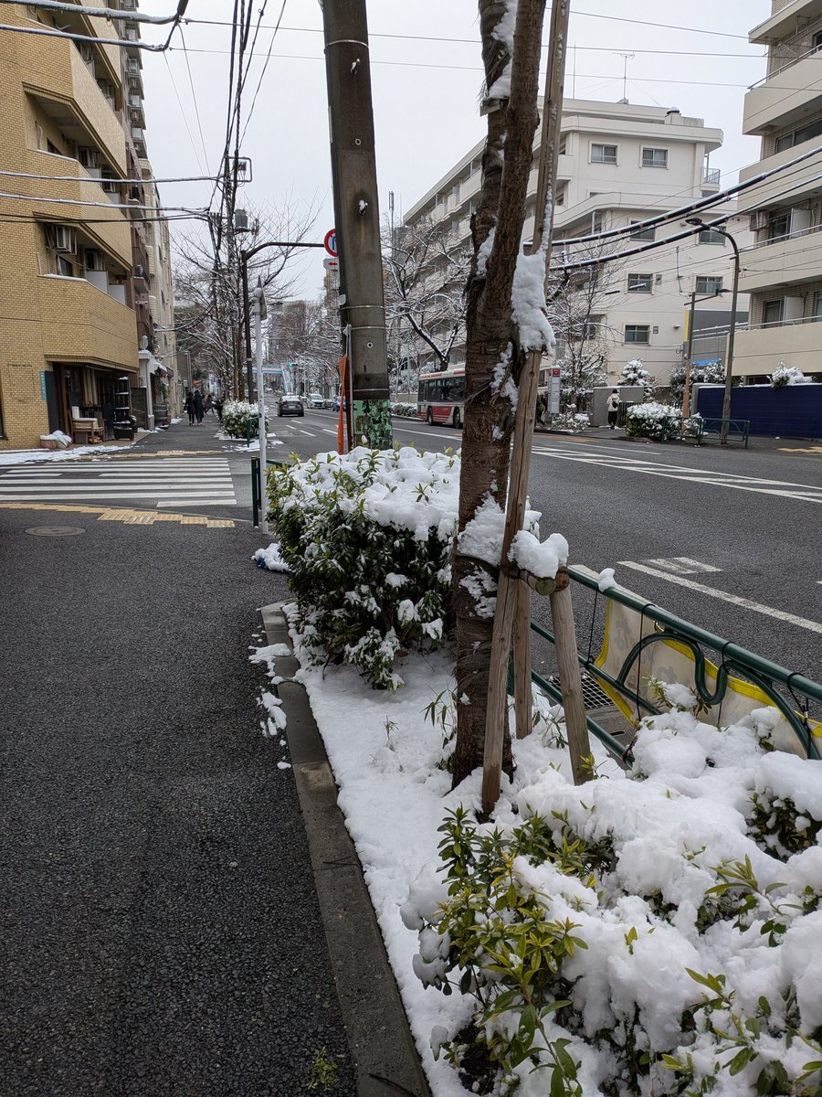 中野はこんな感じです⛄️