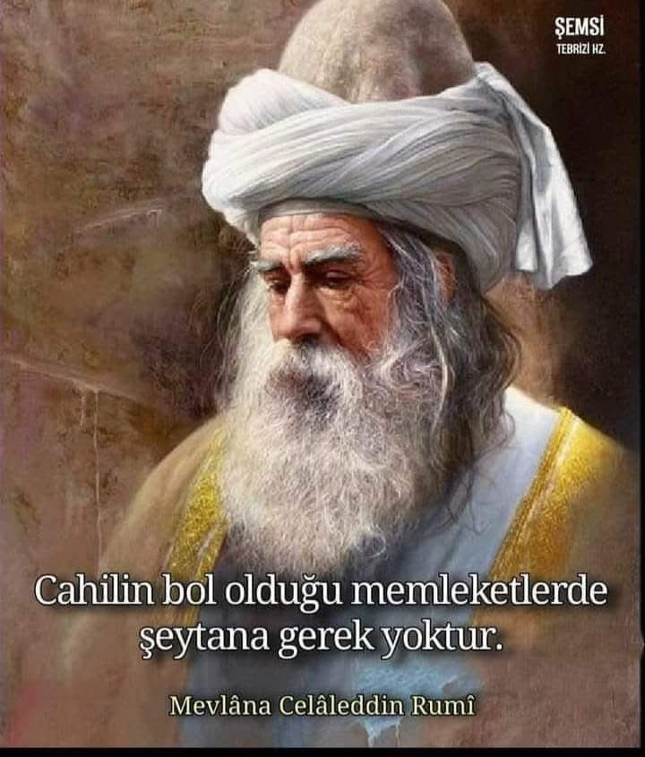 𝓢𝓸𝓷𝓰𝓾𝓵 tweet media