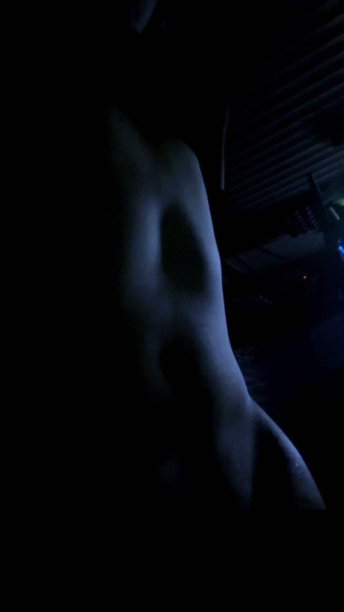 Lyllae ⛩️🤍🐱 tweet media