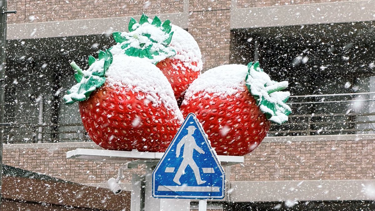 ☃️🍓