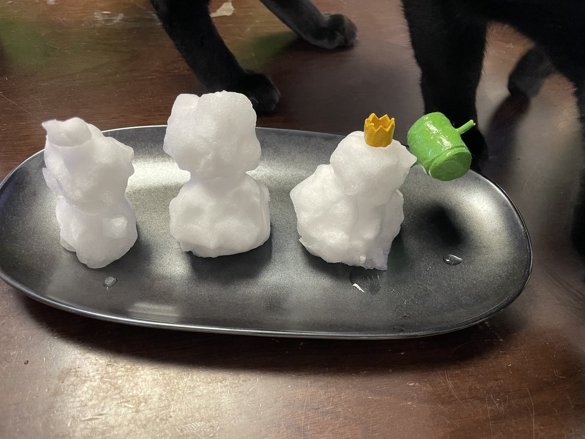 ねこに雪だるまを見せてあげた