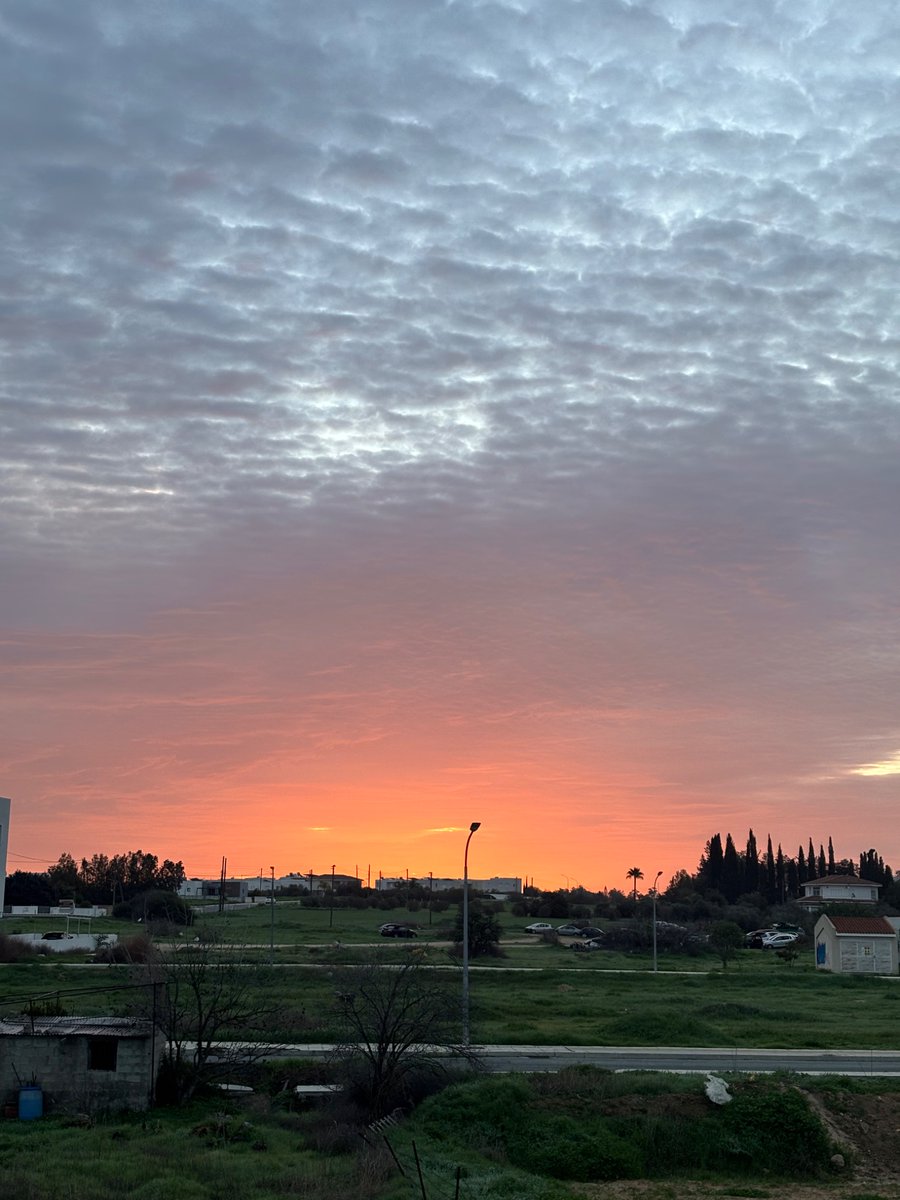 mariaromanoss's tweet image. My day started with this sunrise 🌅
#homeview