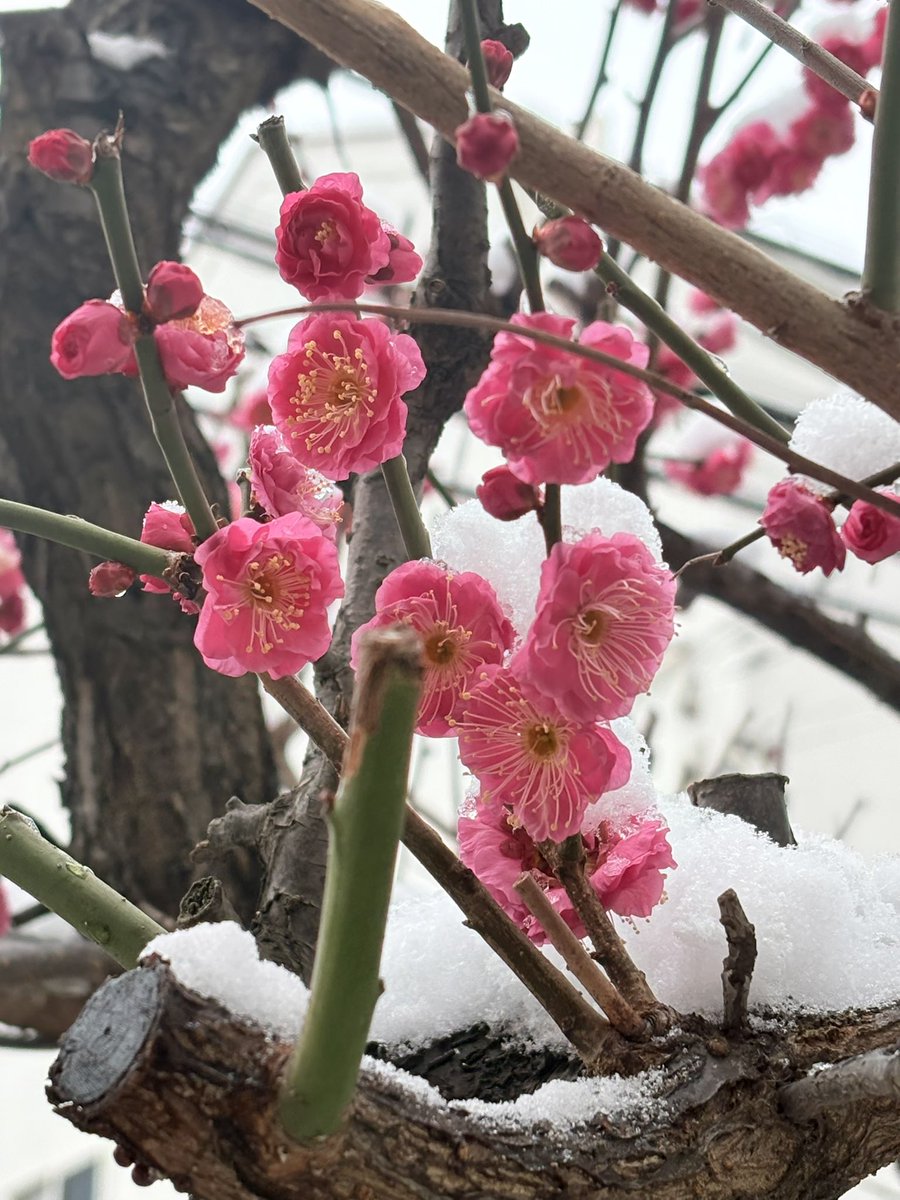 なみ／NAMI tweet media