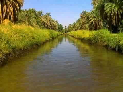 منو الزيك …ضروع وزروع ونيل مداد ؟
منو الزيك ….بطانة وغابة دون حداد ؟
منو الزيك ….سهول وادي وجبال اوتاد ؟
منو الزيك ….أصل موروث من الأجداد ؟