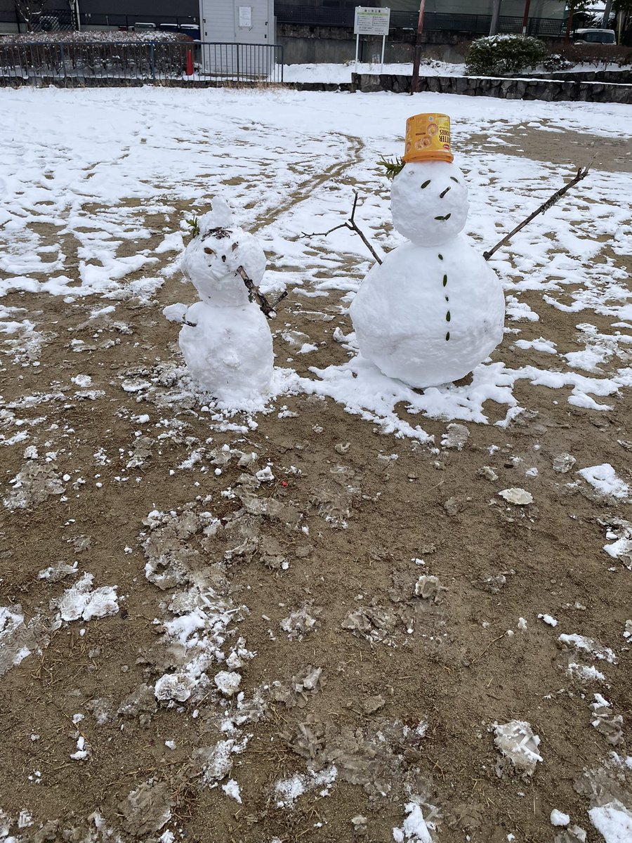 選挙に行った帰り増えてた