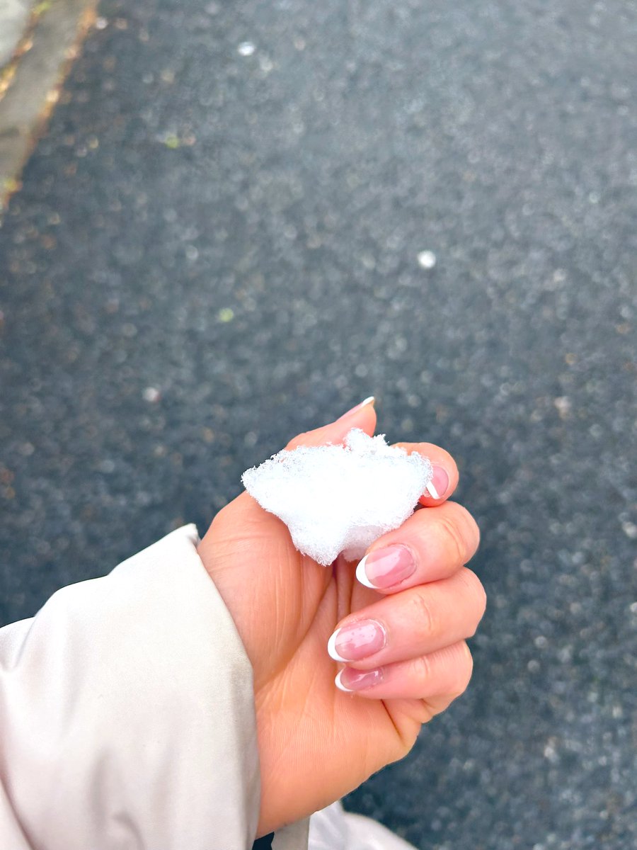 moriva_erina's tweet photo. 寒くて走れてないけれど、
#選挙 には行けました🗳️✨

#雪 が積もっていて、世界が可愛かったです。

寒いので
みなさんお気をつけて行ってらっしゃい。

19時からは #生配信❗️ぜひ、あたたかくしてご覧くださいね🥰💕

#SIREN2 
#こっくん 
@kokkun_game 
@zdan_eiji
#ゲーム
#生配信
#ゲーム実況 
#ドキドキ
#いまから緊張