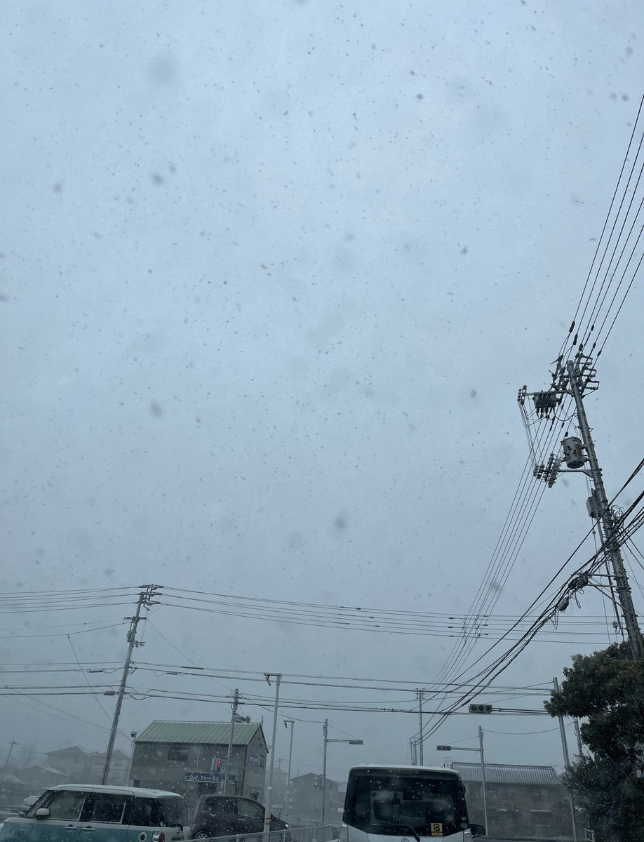 _markmarryme's tweet photo. 雪❄️☃️
すごい
積もってる🙀
#うどん県 https://t.co/oV5Uu23wzD