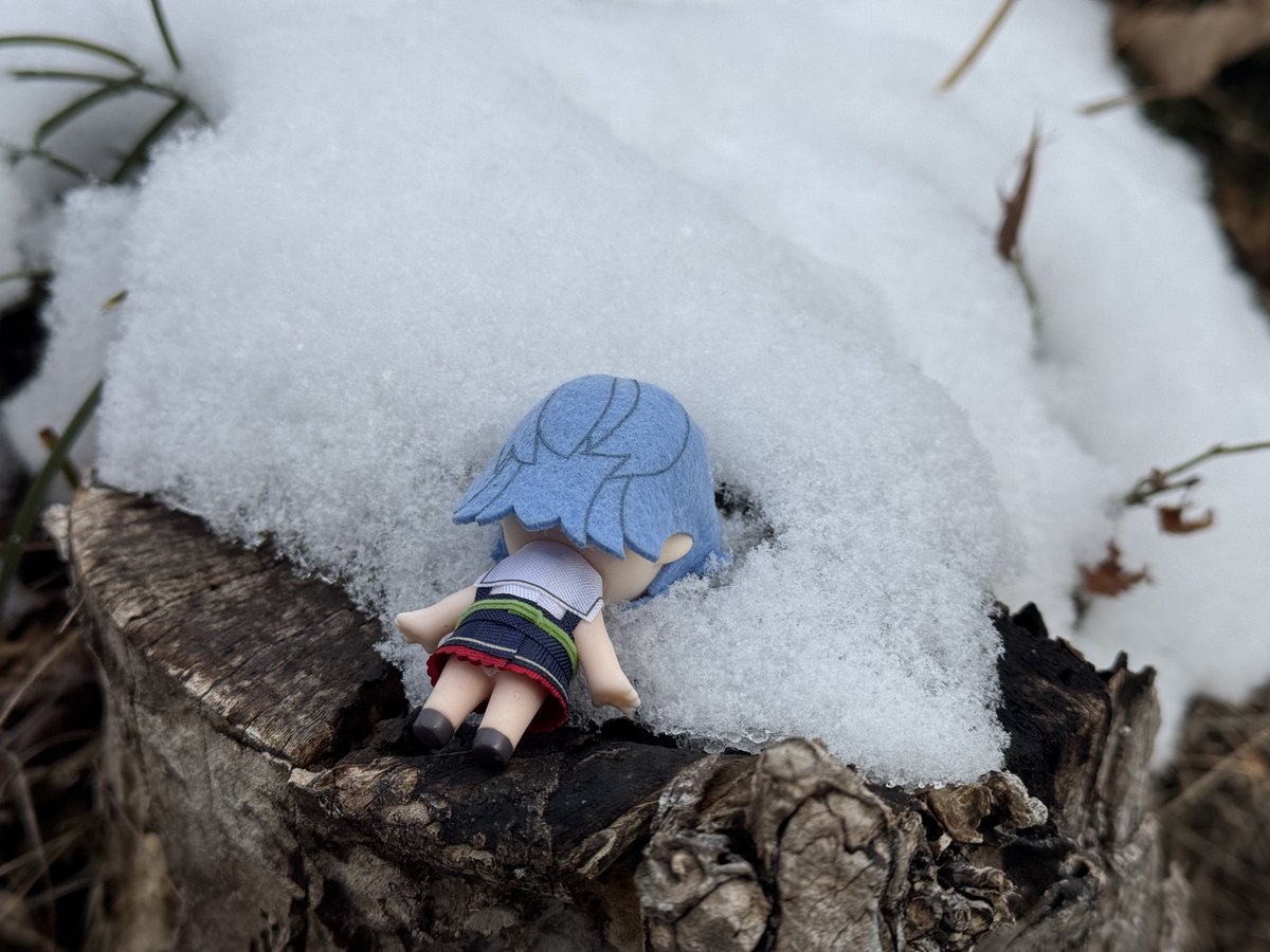 nemotoP_camp's tweet photo. 雪だ〜!!❄︎
#温泉むすめ
#温むす
#大子紅葉
#SPDoll
#雪 https://t.co/bZOSE0fRFV