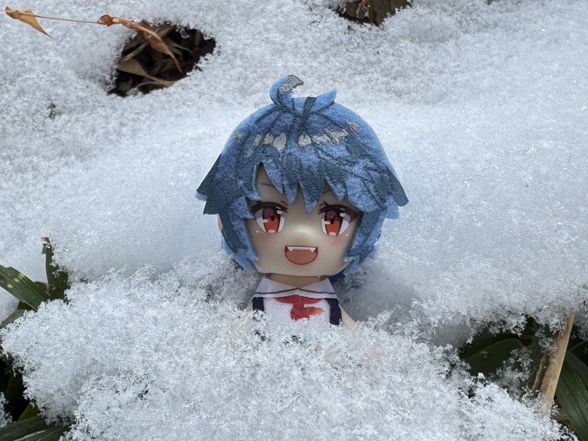 nemotoP_camp's tweet photo. 雪だ〜!!❄︎
#温泉むすめ
#温むす
#大子紅葉
#SPDoll
#雪 https://t.co/bZOSE0fRFV