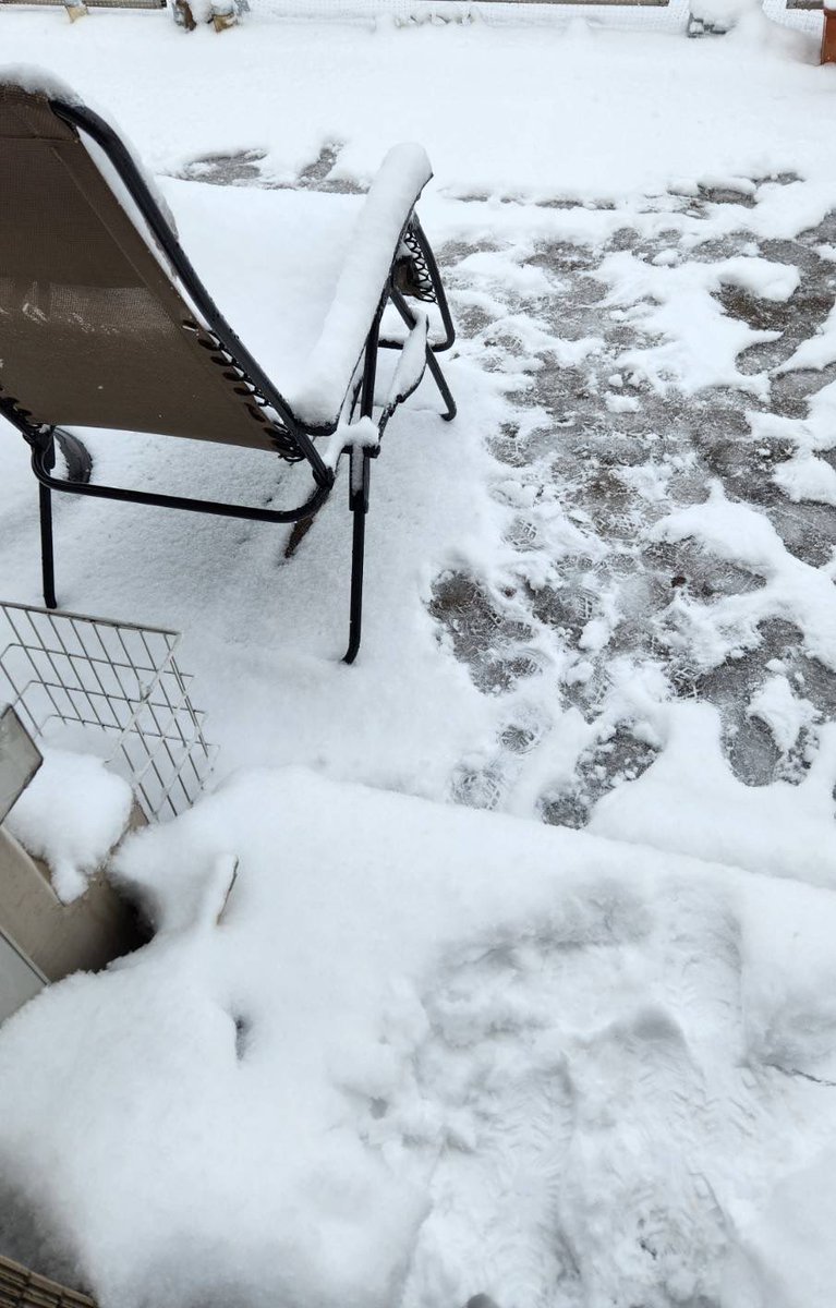 岩崎康雄(ミンキー・ヤス)の「今日も『てやんday❗️』」 tweet media