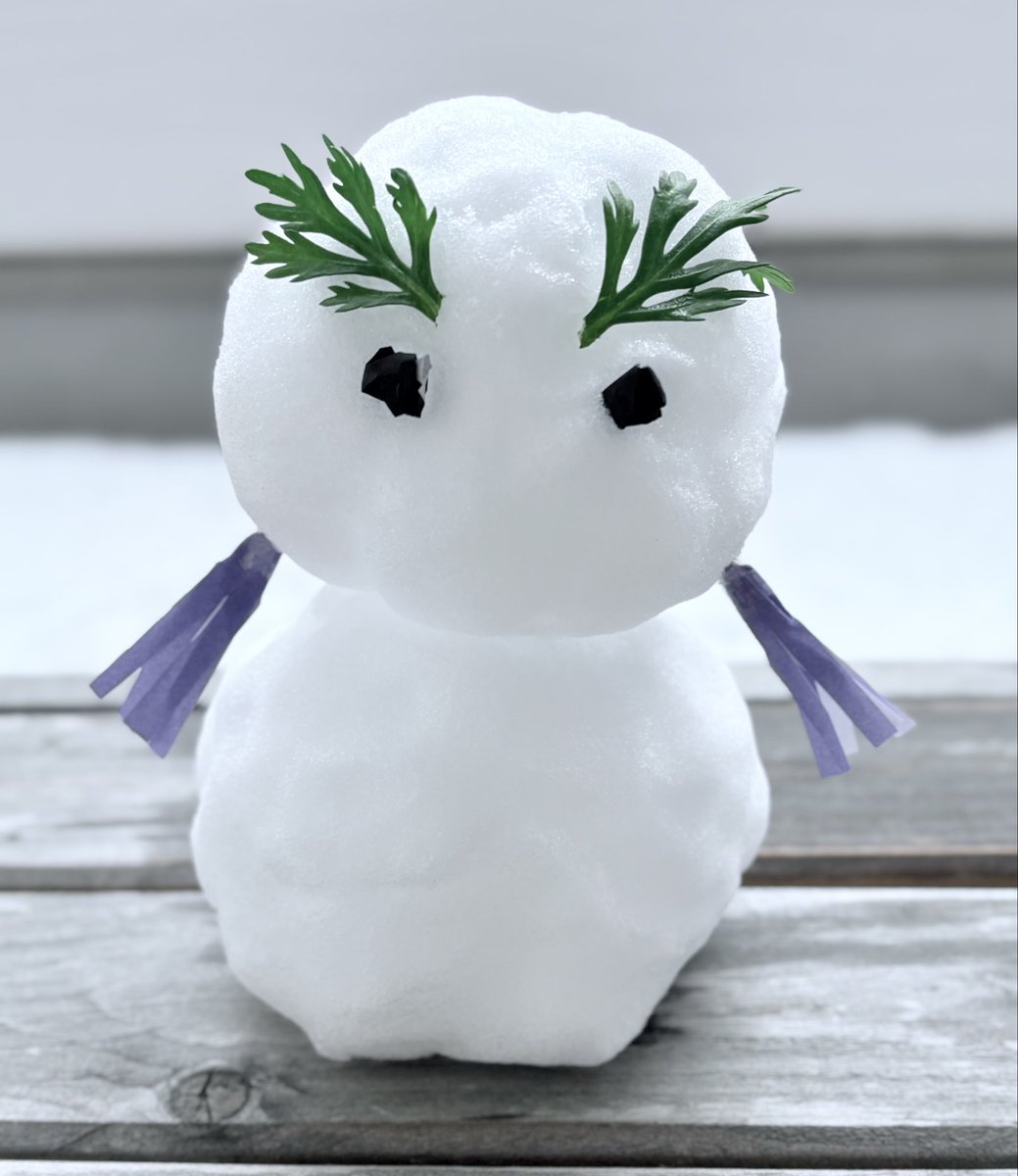 asahi_77102's tweet photo. せっかく⛄️が積もったので作ってみた。
こちらはようやく❄️止みました。 https://t.co/Ce0EcszeQm