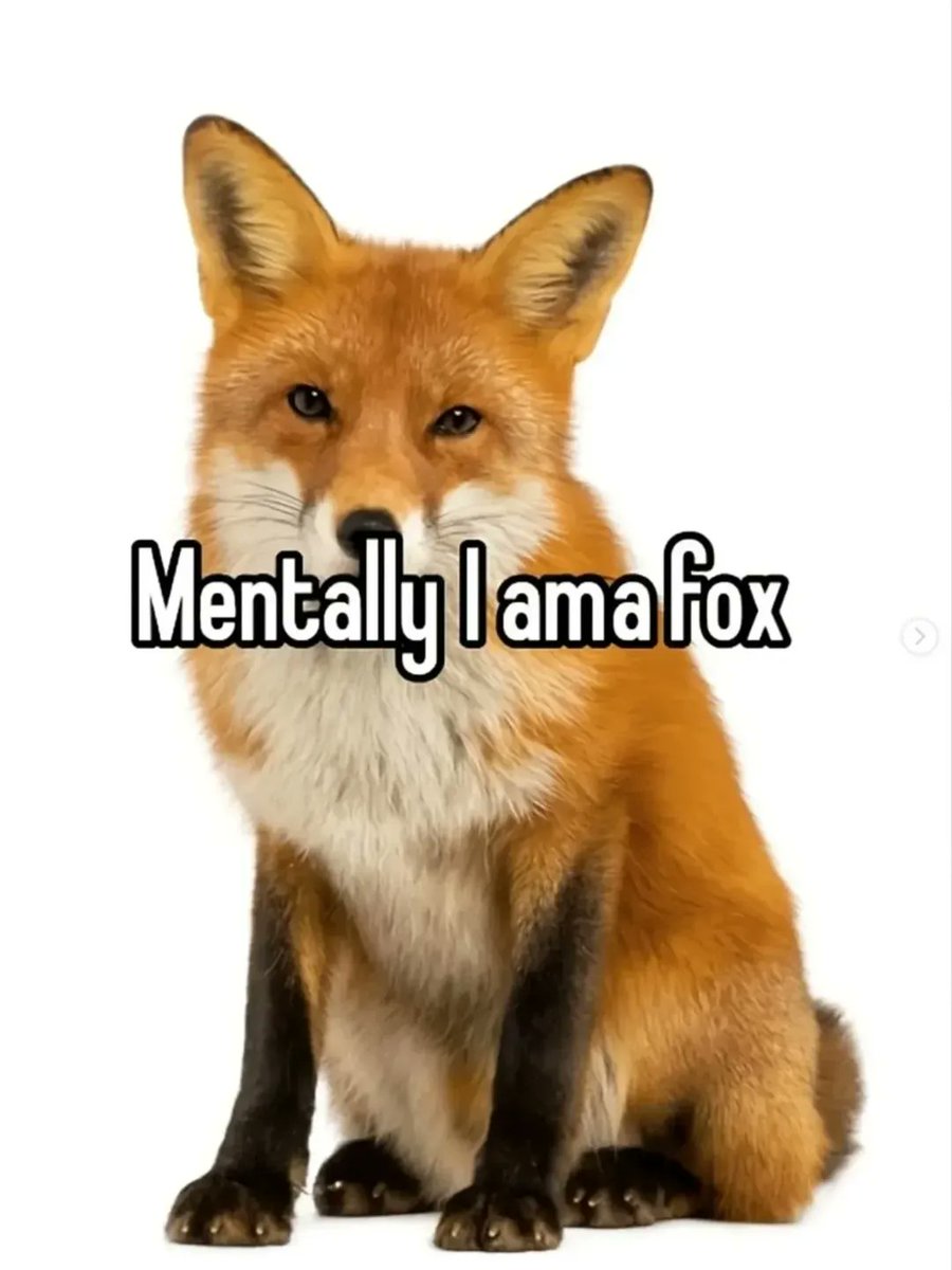 🍁 𝓣𝓱𝓮 𝓕𝓸𝔁 𝓛𝓲𝓯𝓮 🌾🦊 tweet media