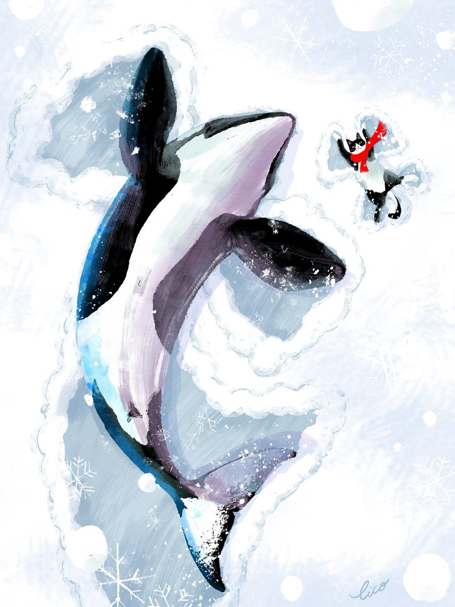 Eico シャチ💙 実物大でシャチ描きたい! tweet media