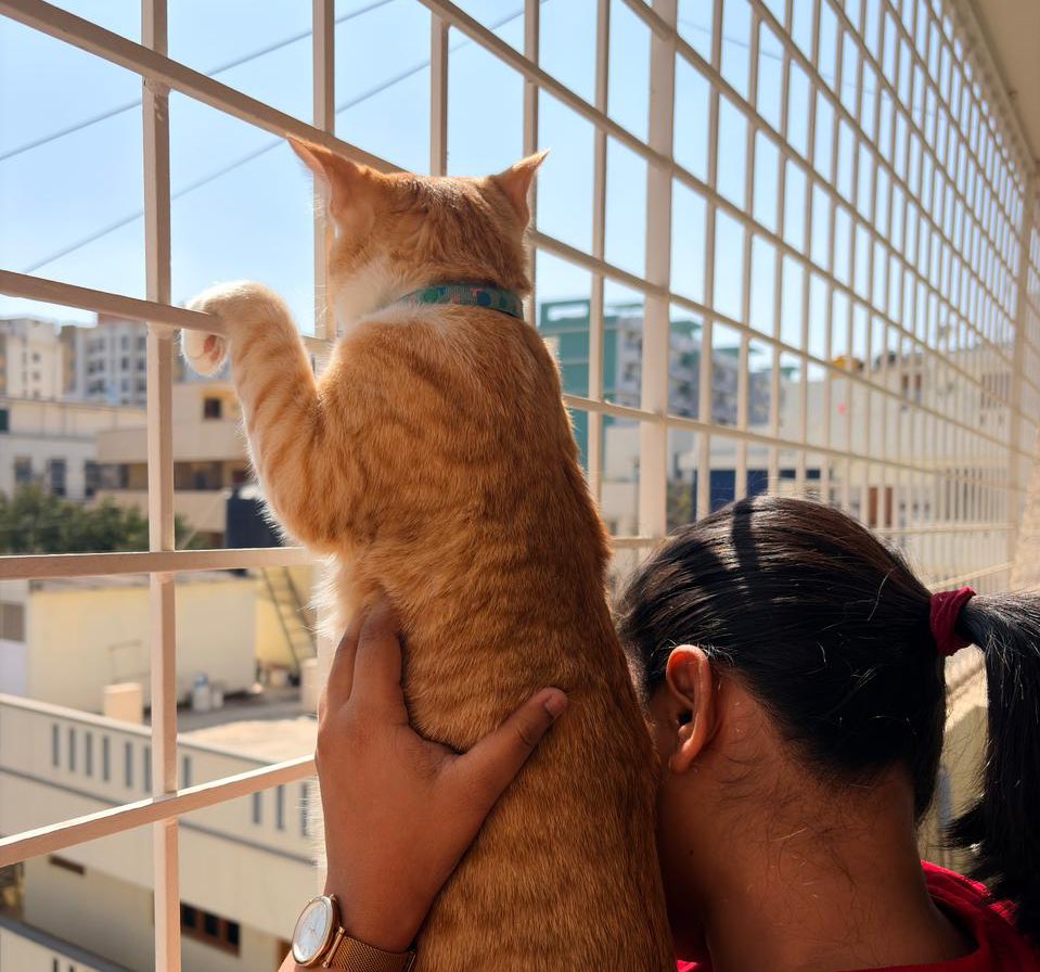 azenithromycin's tweet image. “all of this belongs to you”