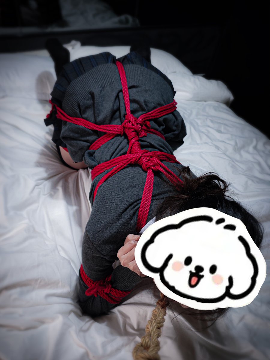 叮当猫 tweet media