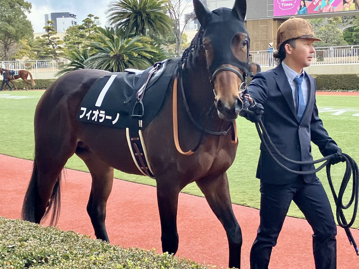 cheek_patch28's tweet image. 頑張ってー🏇🥶（極寒）