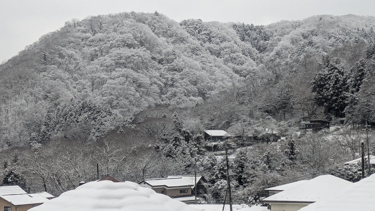 雪、だいぶ積も積もったよ⛄️❄
明日、仕事休みで良かった😐

#雪 #snow #スマホ写真 #GooglePixel #写真 #photo