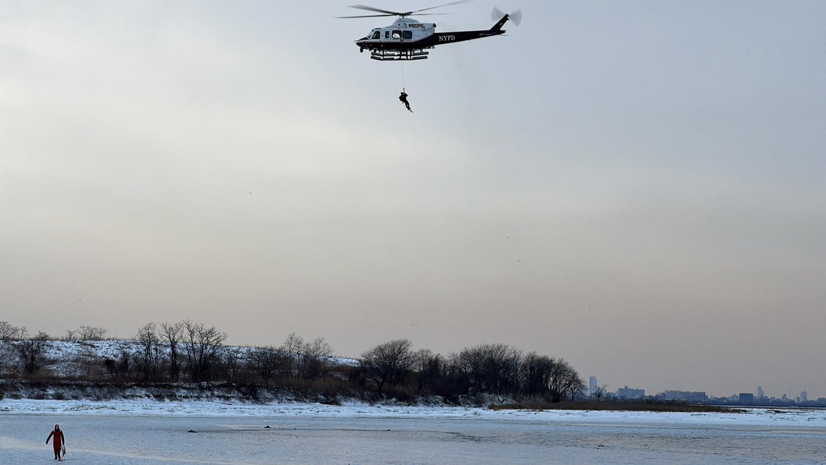 NY Actions tweet media