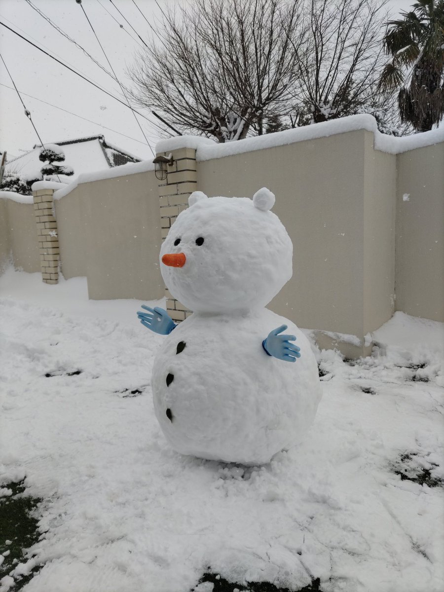 結局走るのは諦めて… めっちゃ夢中になって雪ダルマを作ったとです