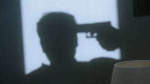 Tim B 🦉 tweet media