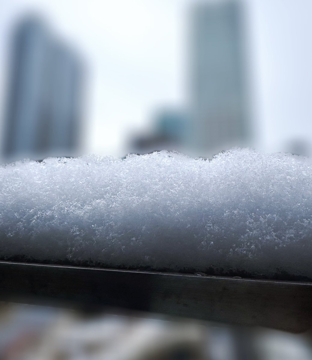 推定5cm❄️23区内某所。
やっと銀世界見れた🥰