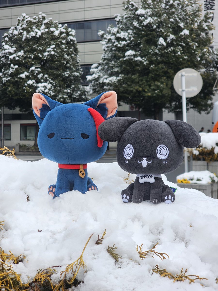 It snowed in Tokyo today! 🌨🐶