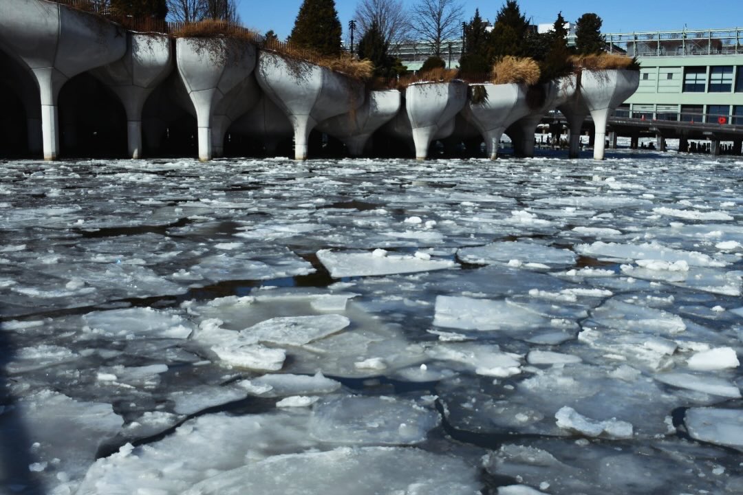 AyaEdlin's tweet photo. Frozen Hudson River 

#frozen #iceberg #ice #river #hudsonriver #newyorkcity #cold https://t.co/6IC6K8g6WU