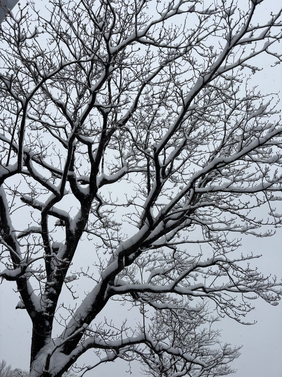 朝からたくさん遊べた