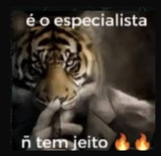 ThreadError tweet media