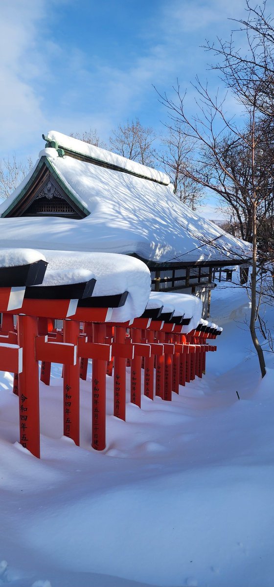 Francesca Sparrowtree tweet media