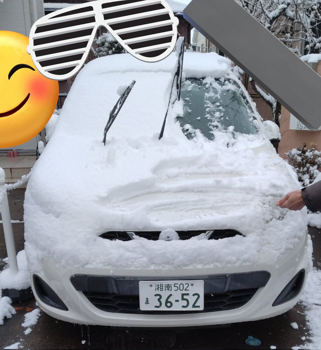 𝑨𝒐𝒕𝒐.𝒀 (@cang_xia15793) / Posts / X