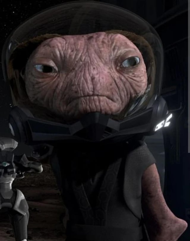 Honney_Bunn_'s tweet photo. @QueenAnticommie The resemblance is uncanny lol https://t.co/tlHfZ9X0Vh