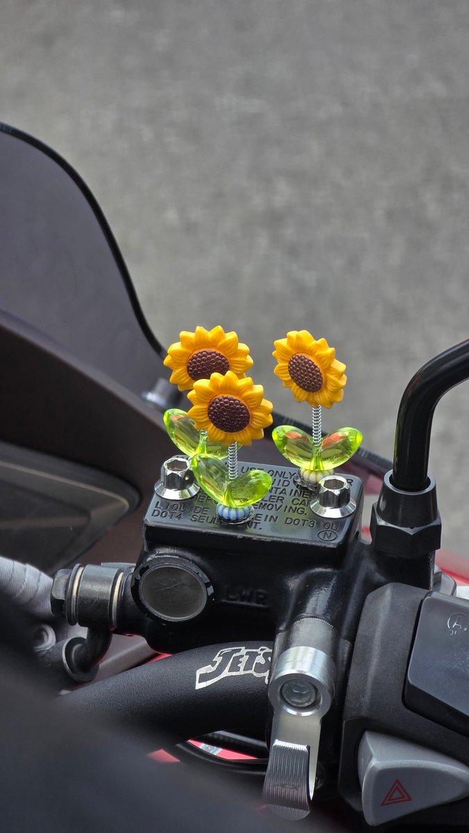 กำลังไปหาน้องดังแล้วเจอสิ่งนี้น่ารักมาก 🌻💛 #dunknatachai