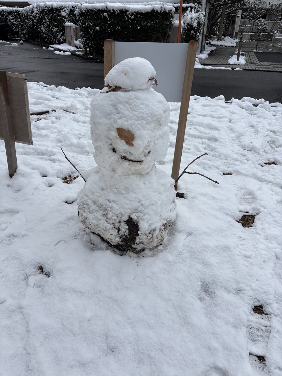 何年かぶりの雪☃️
子供も楽しんでて良いな