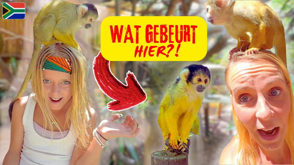 ZE SPRONGEN ZOMAAR OP ONS HOOFD! 😱 | World of Birds Monkey Park Kaapstad | Bellinga Vlog #3509   youtube.com/watch?v=uH5BQq…
@daniel_bellinga @fara_bellinga @de_bellingas_kids_official @luanbellinga_12 @lucillabellinga_15 @luxybellinga_18 @luciusbellinga 
#DeBellingaS #BellingaFilm