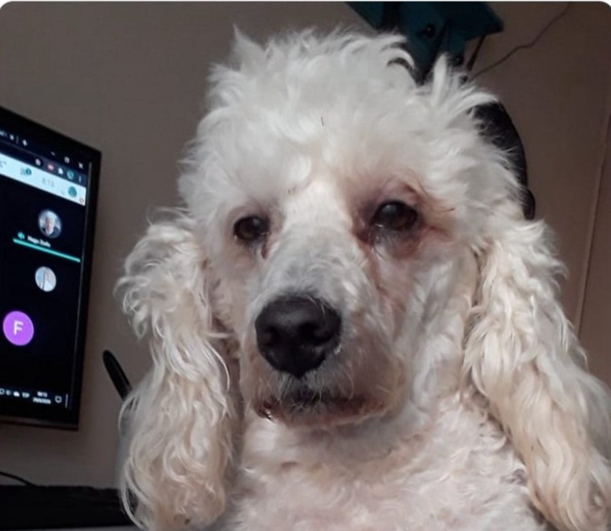 “Tu eres la imagen de tu negocio”
Yo: