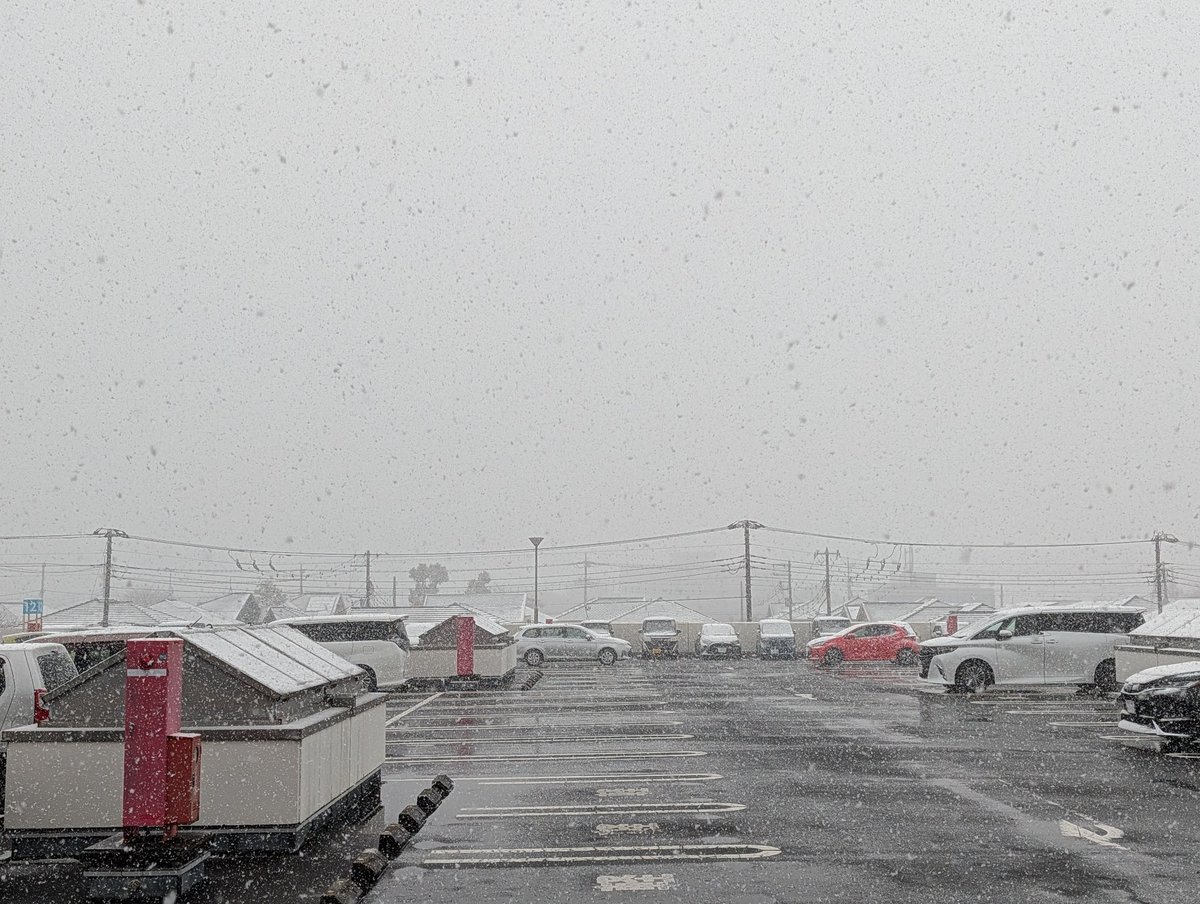 三島で雪かぁ。。。
帰れるか？？