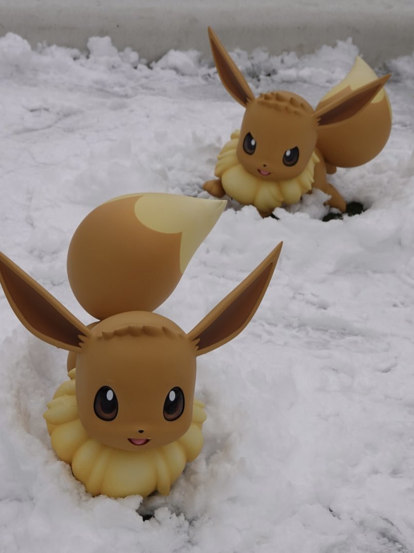ポケパークで雪遊び⸜❄️⸝