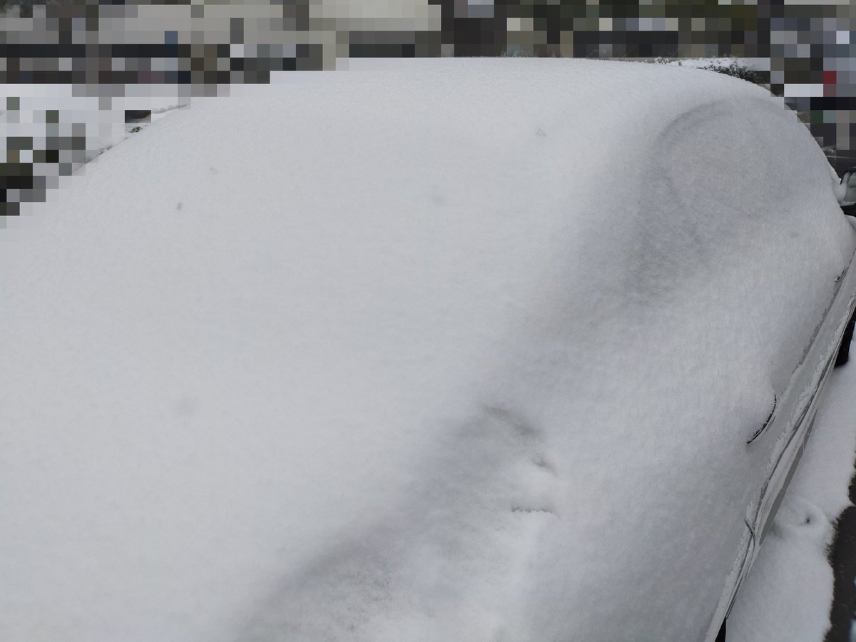 都内でも思ったより積もった雪。 公園では子どもたちが大喜びしてて