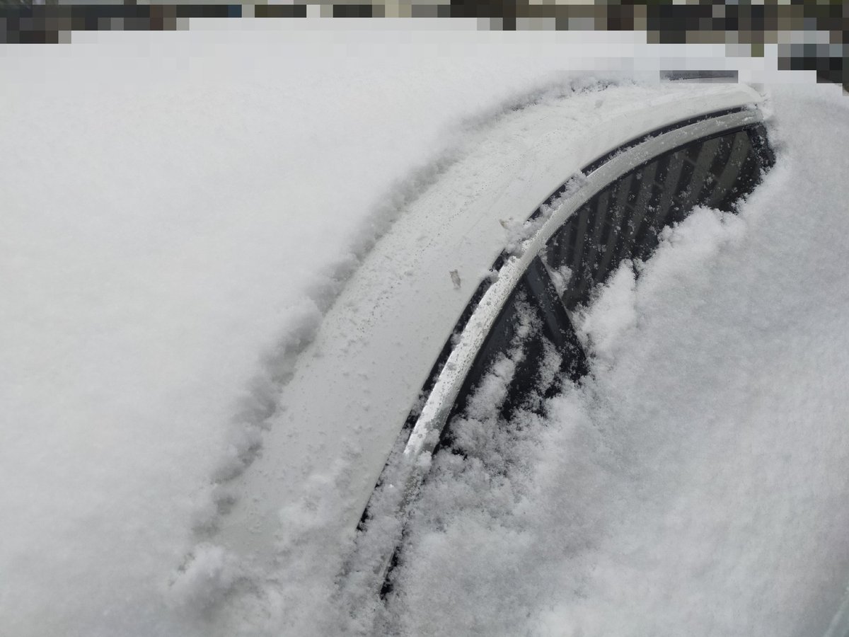 都内でも思ったより積もった雪。 公園では子どもたちが大喜びしてて