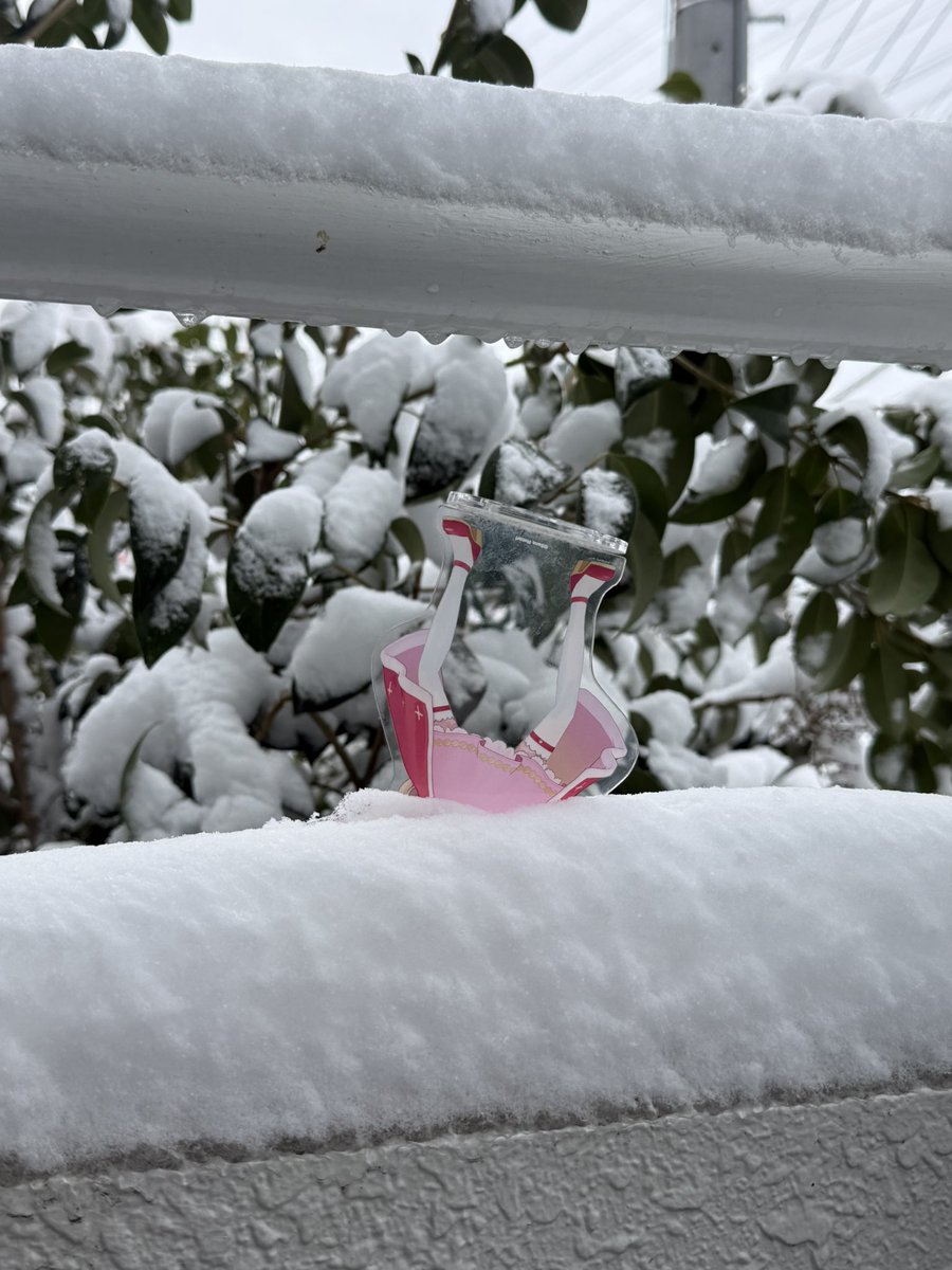 にゃすい (@nyasw) on Twitter photo 