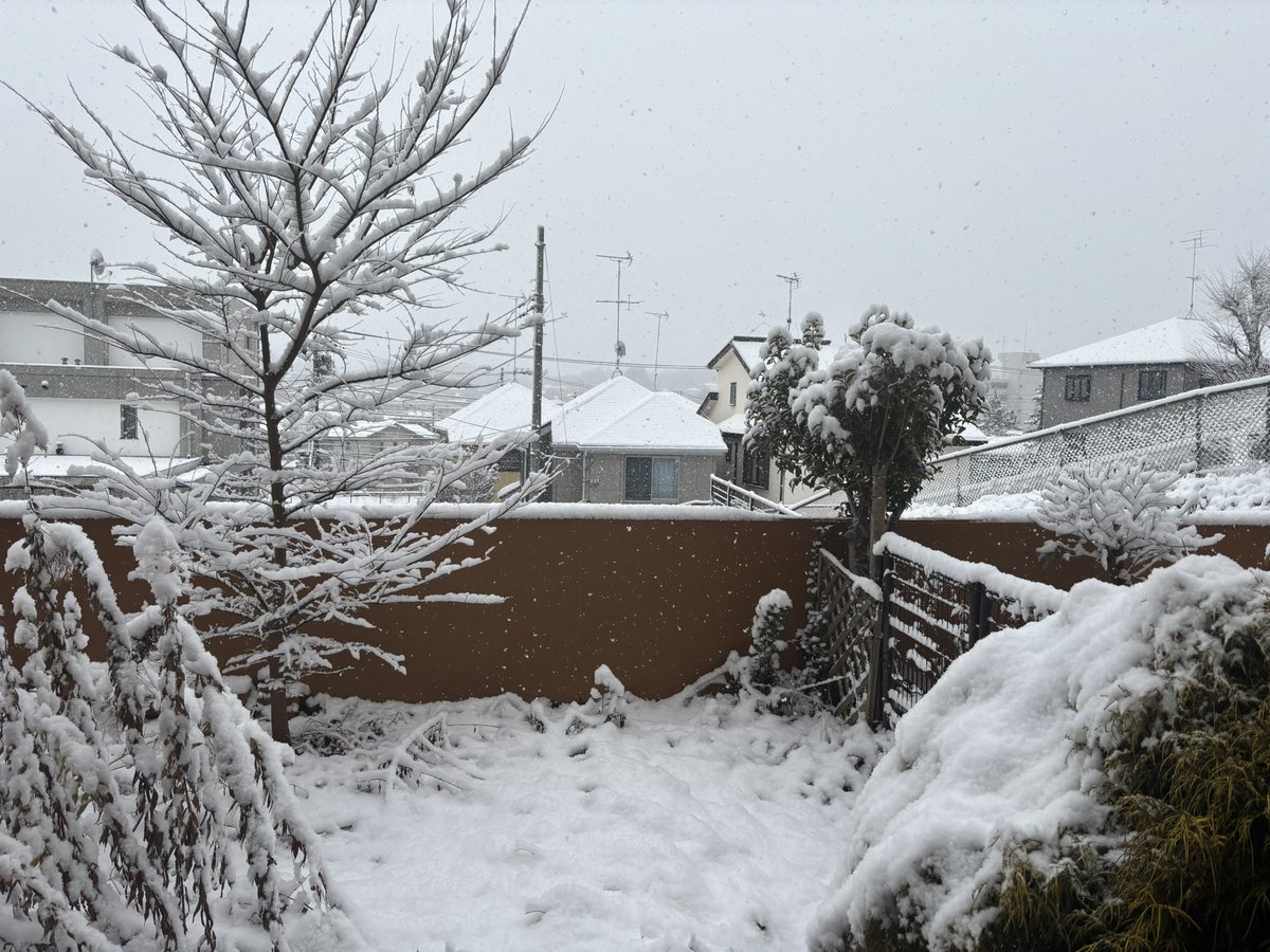 Post by かぜ。 on X: 更に、、、