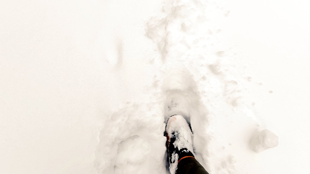 スパイク長靴履いてちょっと散歩してきたけど、10㌢くらい積もってんな☃️(/・ω・)/☃️
狛犬も寒そうw🐕️