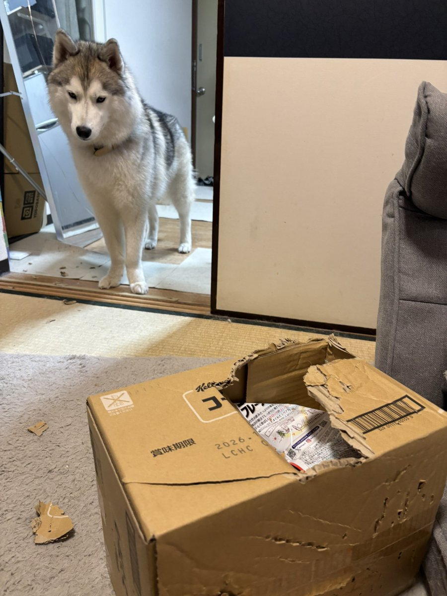 ガブちゃん (@rn2312412) / Posts / X