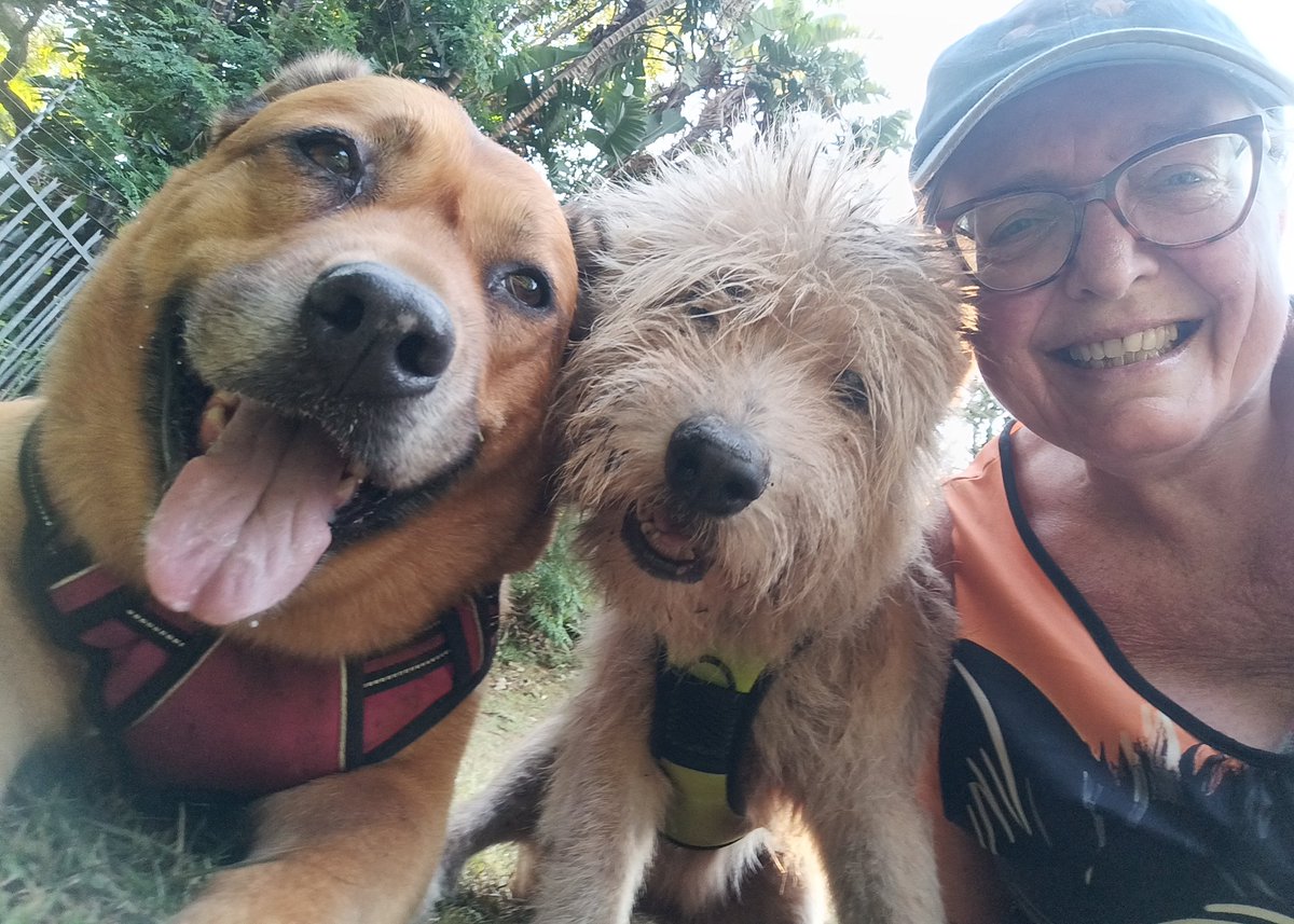 ladydebidebz1's tweet image. And Pawfies!
#MakingMemories
#ParkTime
#SpecialTime
#PawPatrol
#GottaLoveTheFurries
#GoMonty