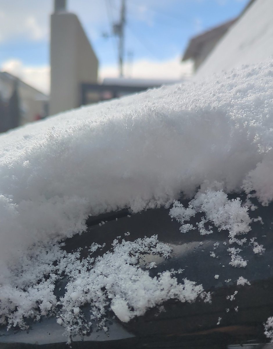 SuMat0ra7's tweet photo. 結局これくらい積もりました❄❄ https://t.co/QlJRVZ4gKS