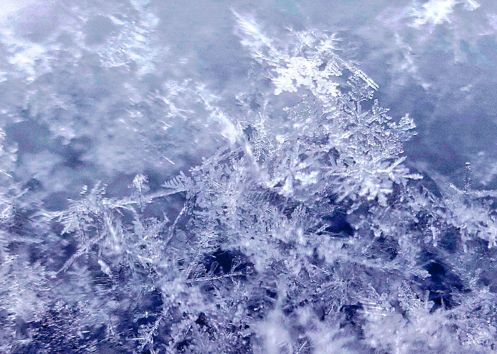 車の雪かき終わって部屋に入ったら寒冷蕁麻疹発症しちゃって全身カユカユ&amp;貧血症状に…
しばらく出てなかったから油断しちゃったな…😎
選挙の帰りに雪の結晶がキレイだったのでパチリ📷
#Xperia1VI
#テレマクロ