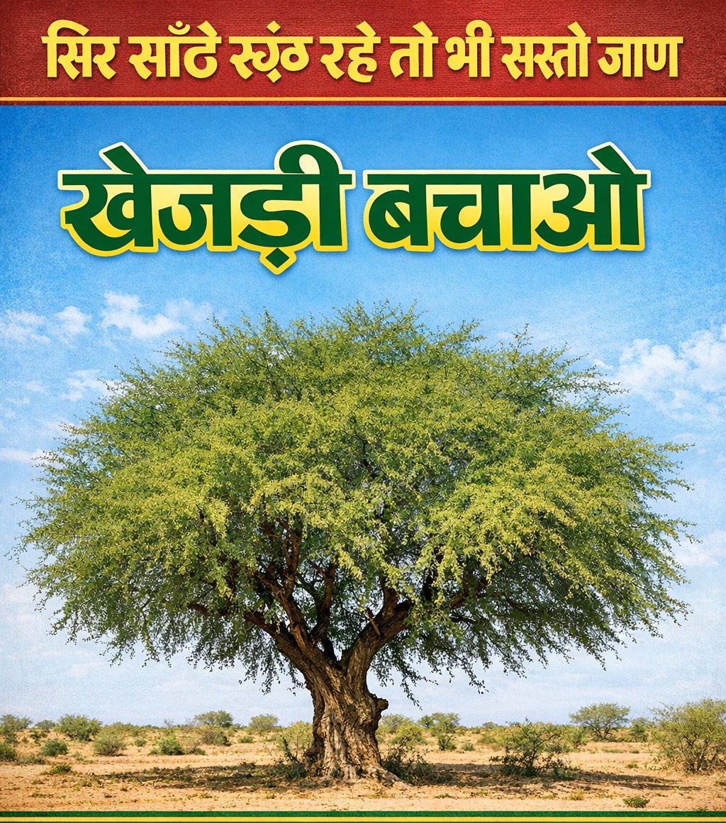 29aman29's tweet photo. #राजस्थान_सरकार_खेजड़ी_बचाओ https://t.co/3gx92Jbm7T